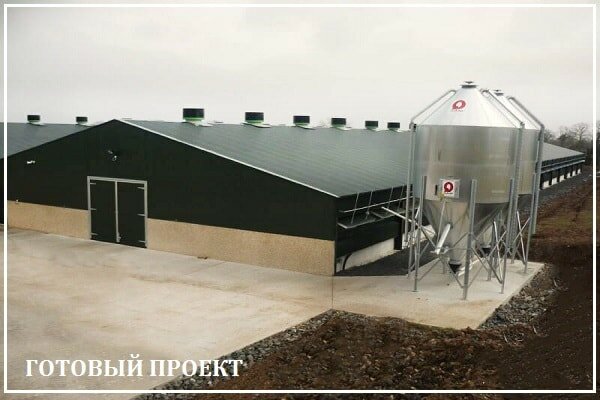 Этапы возведения птицефабрики от завода ВелесТент-врк